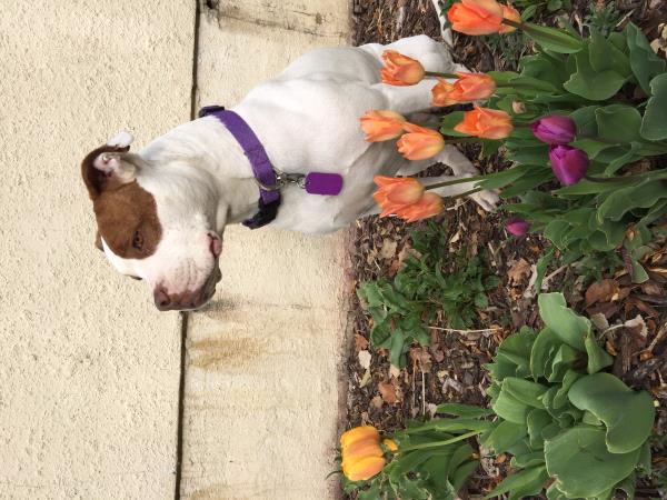 /Images/uploads/Humane Society of Utah/HSUCalendar/entries/1107thumb.jpg